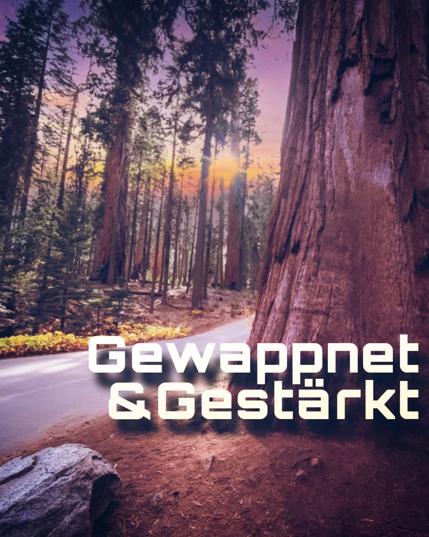 Soeben wurde im Mitgliederbereich von Ursulas YouTube  Kanal wieder ein neues Video der Serie gewappnet und gestärkt freigeschaltet.

Das böse bereitet sich aus  doch die Bibel hat Antworten wie wir ihm begegnen können 🙏🏼🔥⚔️