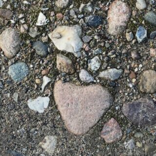 Sicherlich kennst Du die Geschichte vom Kampf Davids gegen Goliath in der Bibel. Die meisten Menschen kennen sie, da sie nicht zuletzt Teil unseres Volksmundes ist. 
Auch im Koran kommt sie vor. 

Dieser bekannteste Kampf David war allerdings nicht sein einzigster, er war ein großer Kämpfer und das auf allen Ebenen. Diese weiteren Kämpfe Davids sind den meisten von uns eher nicht bekannt, dabei sind sie extrem spannend und haben  große Relevanz zu den Kämpfen, die wir, Du und ich, in unserem Leben führen und führen müssen. 

David war nicht nur ein Meister der Steinschleuder, sondern auch ein Meister in emotionaler und geistlicher Kampfführung. Davon können wir lernen. 

Hier geht es zum Vortrag: 
https://youtu.be/-UBvGK-tDtk