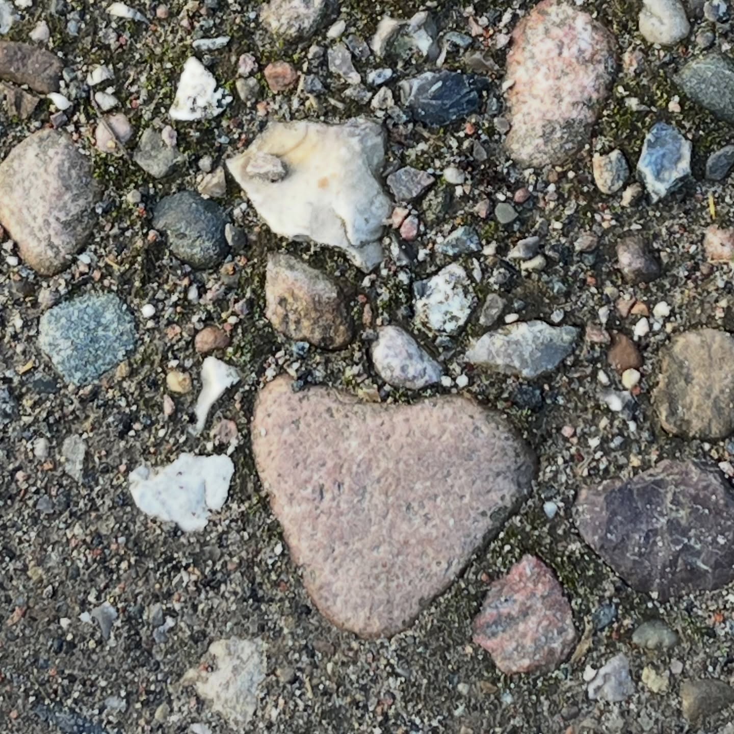 Sicherlich kennst Du die Geschichte vom Kampf Davids gegen Goliath in der Bibel. Die meisten Menschen kennen sie, da sie nicht zuletzt Teil unseres Volksmundes ist. 
Auch im Koran kommt sie vor. 

Dieser bekannteste Kampf David war allerdings nicht sein einzigster, er war ein großer Kämpfer und das auf allen Ebenen. Diese weiteren Kämpfe Davids sind den meisten von uns eher nicht bekannt, dabei sind sie extrem spannend und haben  große Relevanz zu den Kämpfen, die wir, Du und ich, in unserem Leben führen und führen müssen. 

David war nicht nur ein Meister der Steinschleuder, sondern auch ein Meister in emotionaler und geistlicher Kampfführung. Davon können wir lernen. 

Hier geht es zum Vortrag: 
https://youtu.be/-UBvGK-tDtk