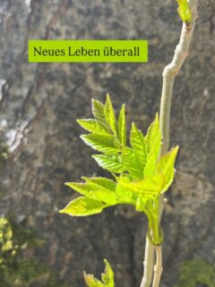 BibleStudyExperirnce 

☀️ wir starten am Donnerstag, 14. Mai um 18:30 Uhr online über Zoom.

🩷 es gibt Aufzeichnungen.

🕊️ 15 Einheiten in 6 Monate, 90min 

BIST DU DABEI?

https://ursulaschulenburg.de/biblestudyexperience/